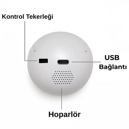 Anı Küresi™